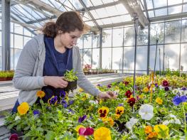 IEM-FP-Horticulture-Anaelle